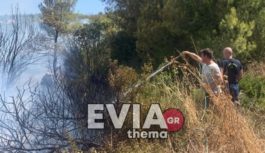 φωτιά Ευβοια
