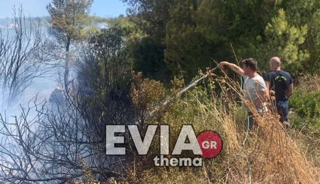 φωτιά Ευβοια