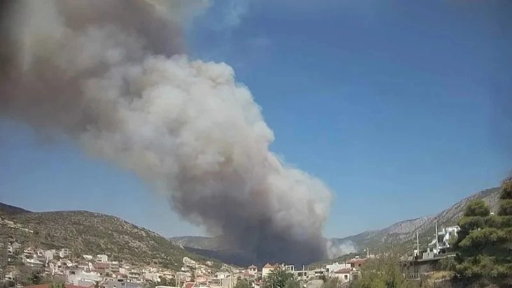 φωτιά στη Φυλή