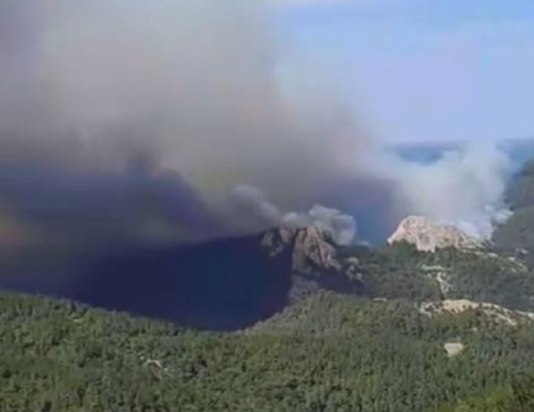 φωτιά Λάβαρα Έβρος