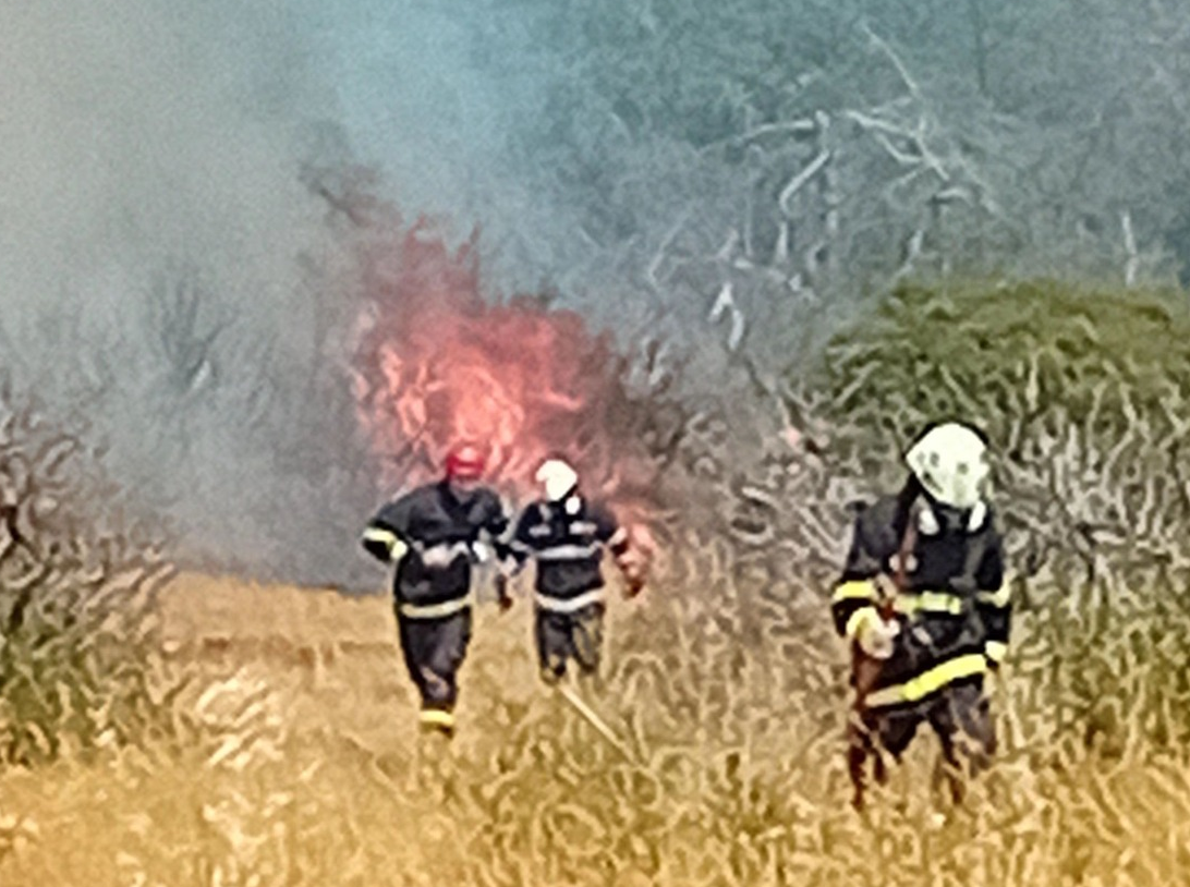 φωτιά Λευκίμη Έβρο