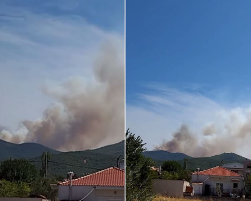 φωτιά Ροδόπη