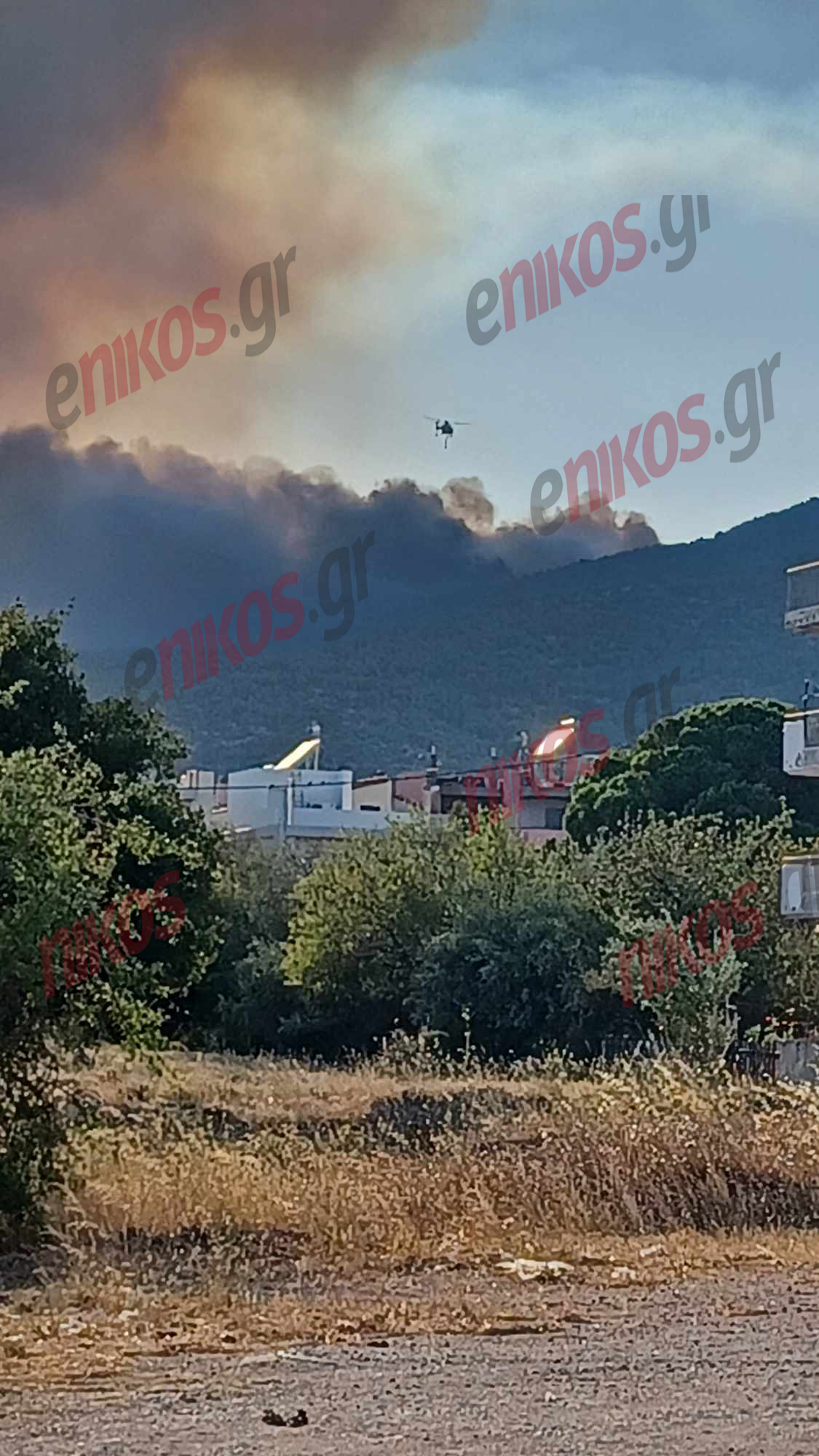 Θρακομακεδόνες φωτιά Πάρνηθας