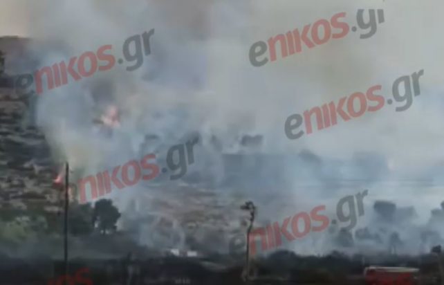 φωτιά Χαλκίδα