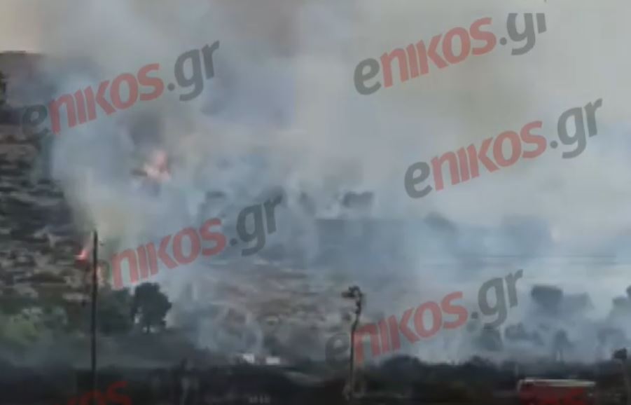 φωτιά Χαλκίδα