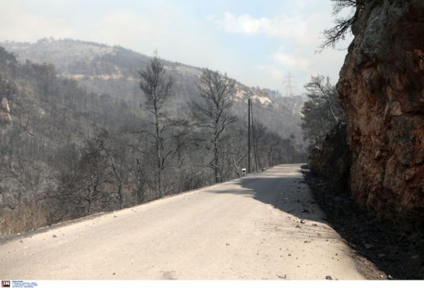 φωτιά Χασιά Πάρνηθα