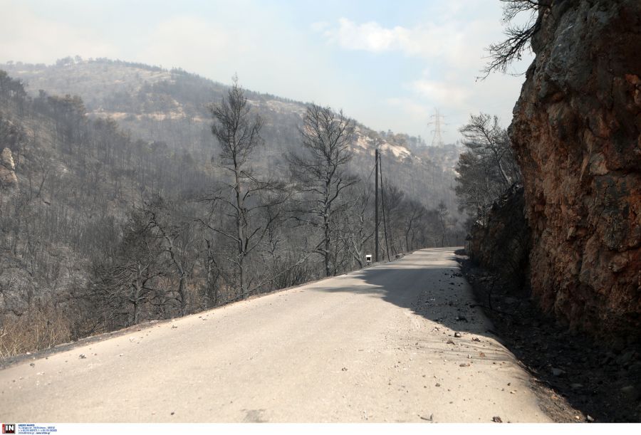 φωτιά Χασιά Πάρνηθα