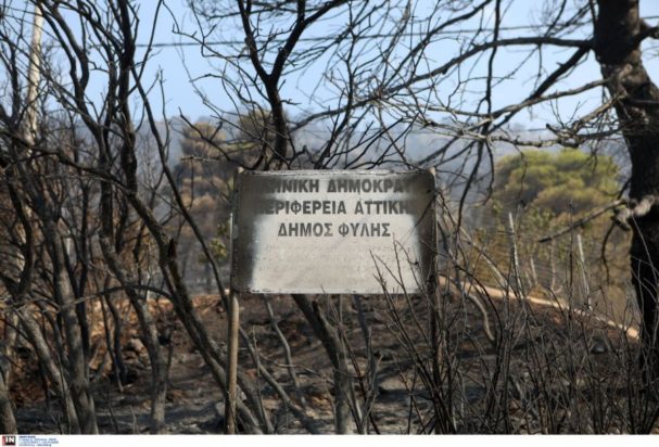 φυλή Πάρνηθα