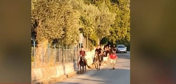 Αντιδράσεις στην Λέσβο για τις γαϊδουροδρομίες