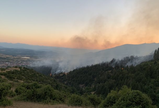 Φωτιά Γρεβενά