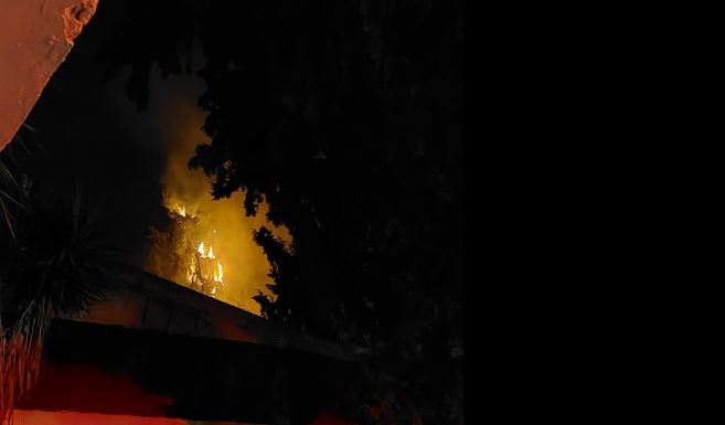 Καισαριανή: Εικόνες από την φωτιά στο Σκοπευτήριο – «Έχει τεθεί υπό έλεγχο»