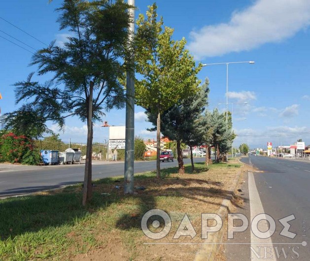 Καλαμάτα: Θανατηφόρο τροχαίο – 40χρονος έπεσε με την μηχανή του σε κολώνα