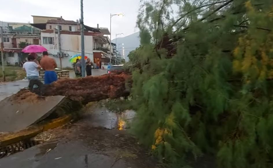 Καλαμάτα: Ζημιές από ξαφνικό μπουρίνι – Δέντρο καταπλάκωσε αυτοκίνητο όπου επέβαινε μία οικογένεια – ΒΙΝΤΕΟ
