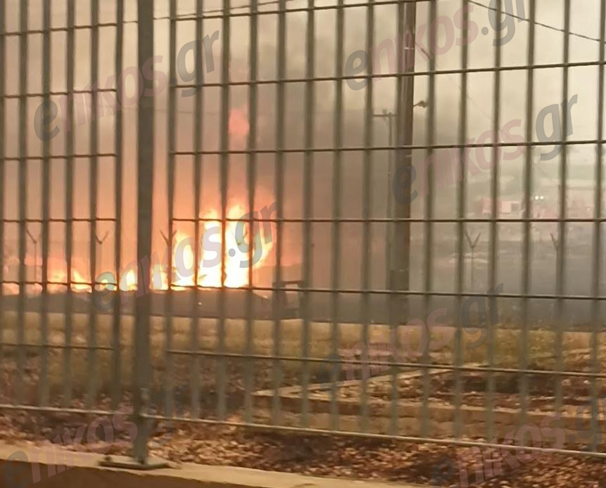 Φωτιά στην Φυλή: Κάηκαν σπίτια στον λόφο Κυρίλλου – ΦΩΤΟ αναγνώστη