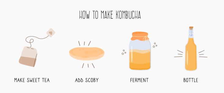 Kombucha: Τα απλά βήματα της συνταγής.