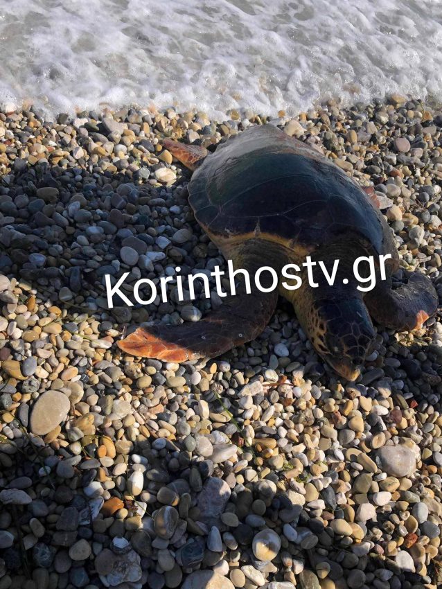 korinthia