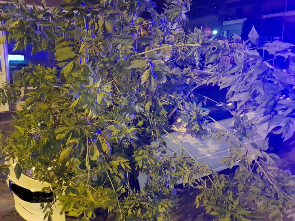 Κοζάνη Τροχαίο