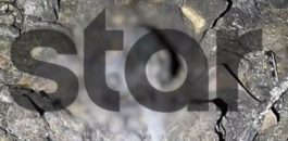 Κρανίο Φυλή