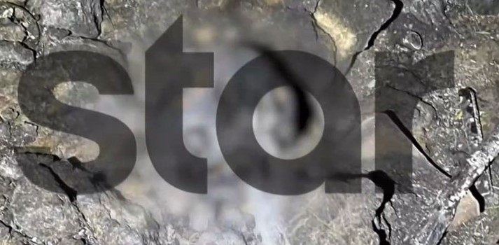 Κρανίο Φυλή