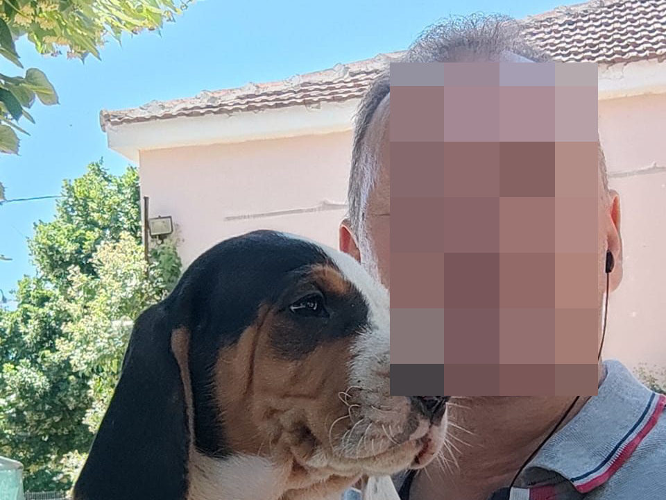 Λάρισα ξυλοδαρμός