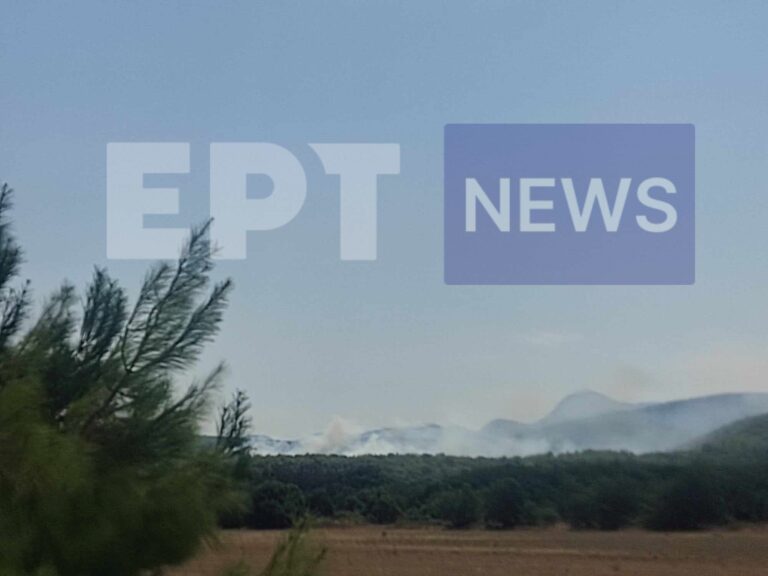 φωτιά Λέσβος