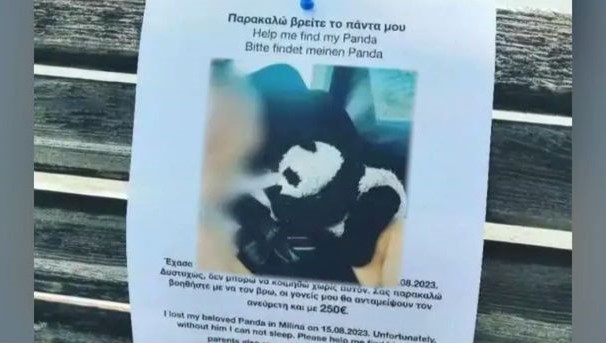 Πήλιο: Αμοιβή 250 ευρώ σε όποιον βρει ένα… λούτρινο πάντα που έχασε παιδάκι – «Δεν μπορώ να κοιμηθώ»