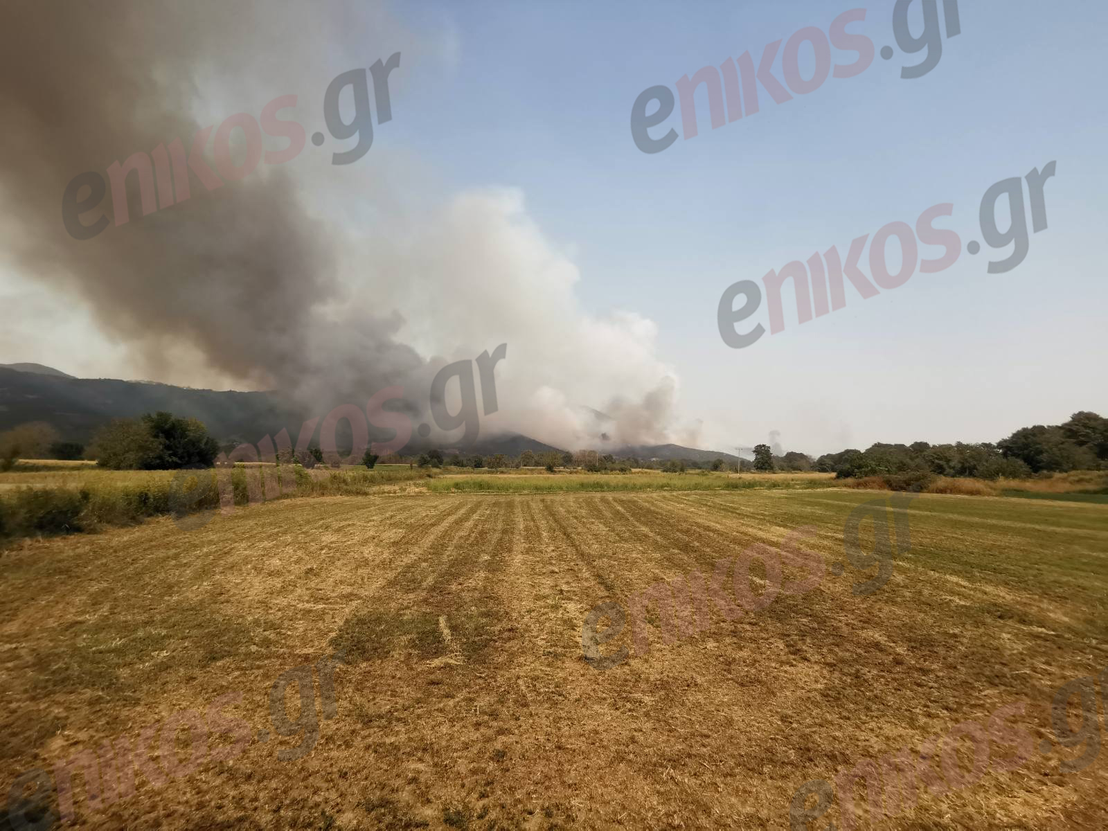 Φθιώτιδα: Νέες ΦΩΤΟ από τη φωτιά στην Μακρακώμη – Κινείται προς δύο χωριά