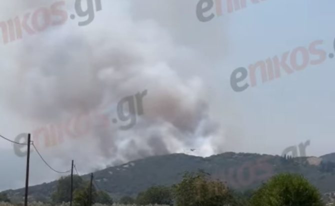 Φωτιά στην Μακρακώμη Φθιώτιδας