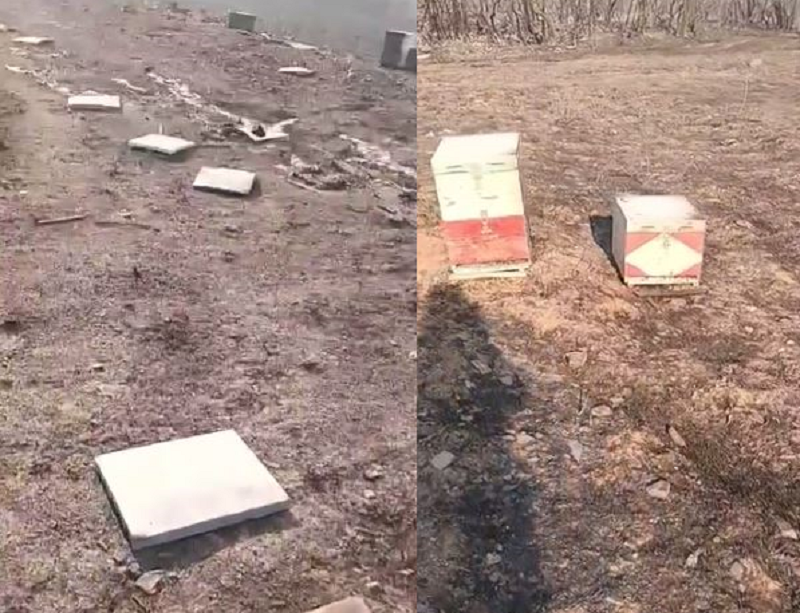 μελίσσια Αλεξανδρούπολη