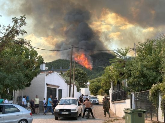 φωτιά Μίσχος Ροδόπη