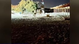 Νάξος παραλία Πλάκα