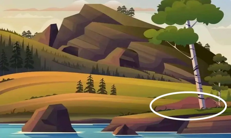 Οπτική ψευδαίσθηση Αρκούδα