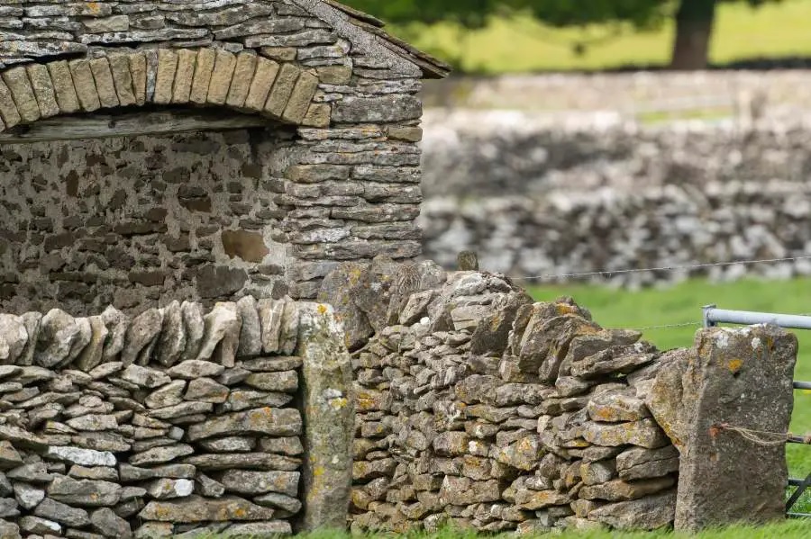 Οπτική ψευδαίσθηση κουκουβάγια