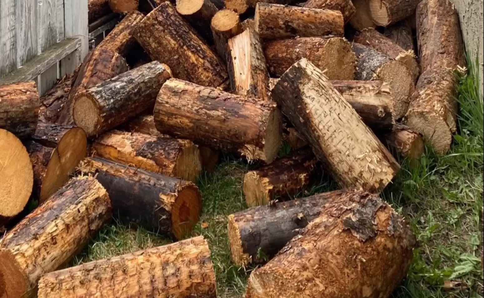 Οπτική ψευδαίσθηση σκύλος