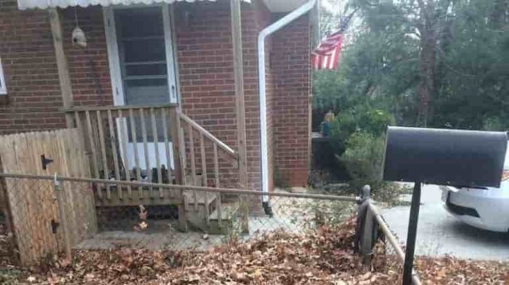 Οπτική ψευδαίσθηση κουτάβι