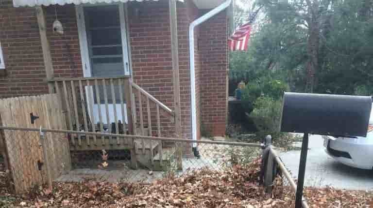 Οπτική ψευδαίσθηση κουτάβι