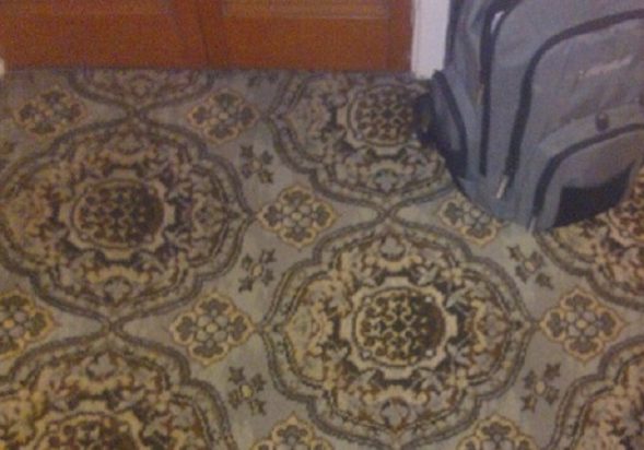 Οπτική ψευδαίσθηση χελώνα