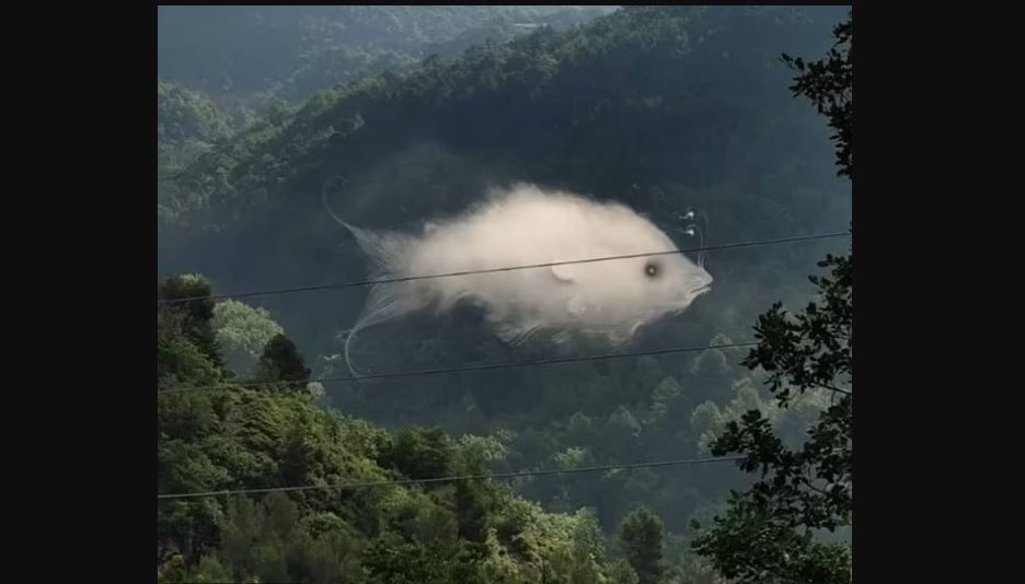Οπτική ψευδαίσθηση