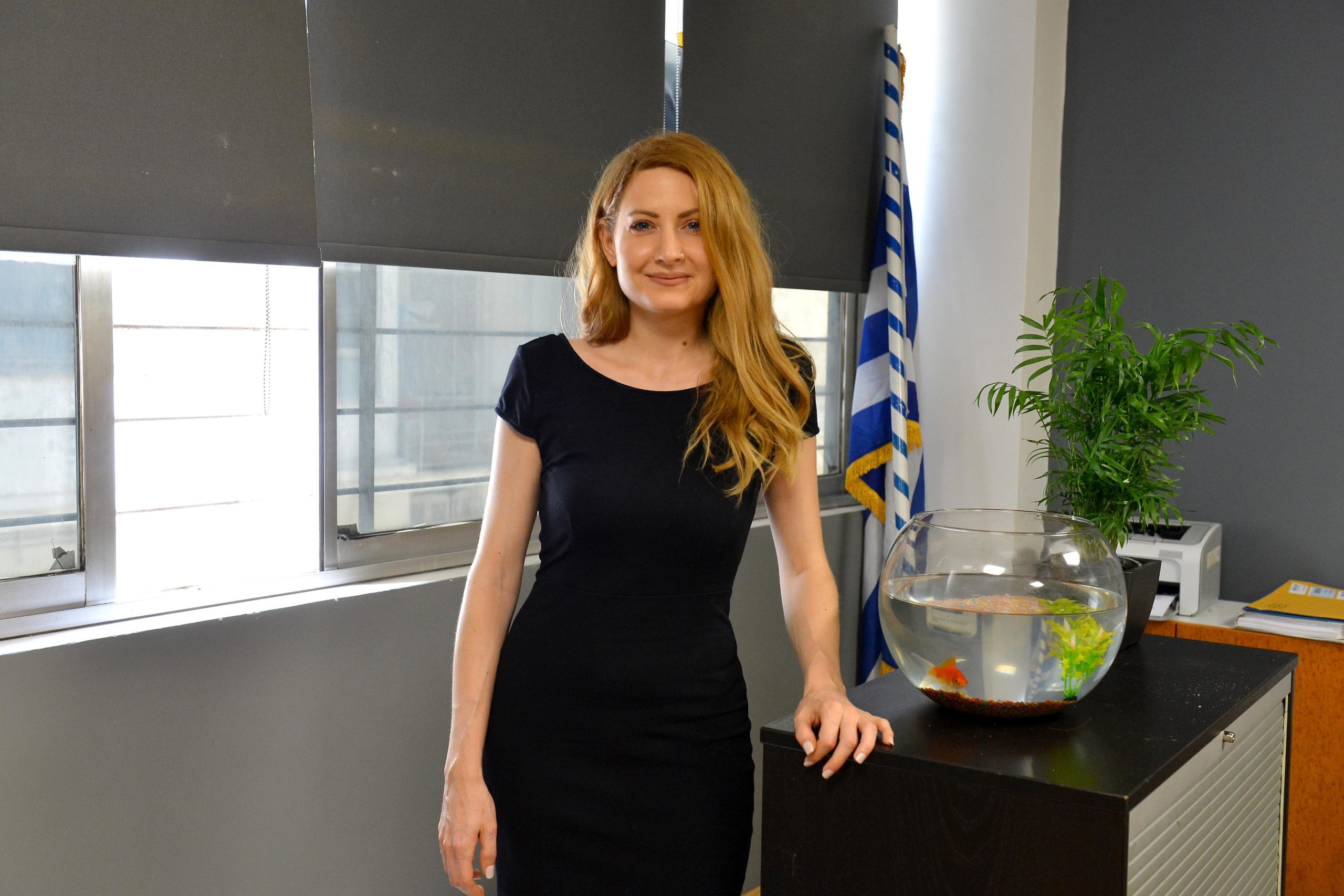 «Στα σύρματα», ΕΡΤ σειρά