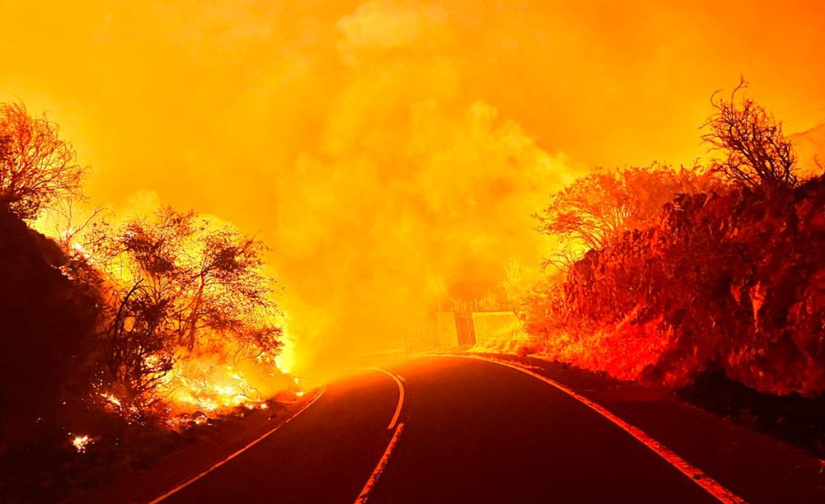 Ισπανία: Μεγάλη φωτιά καίει την βόρεια Τενερίφη – ΦΩΤΟ και ΒΙΝΤΕΟ