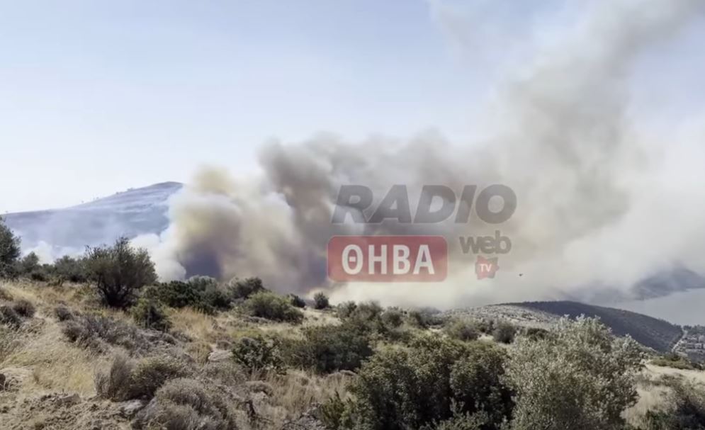 Δύσκολο βράδυ στην Βοιωτία: Εκκενώνονται ακόμη δύο οικισμοί λόγω της φωτιάς – Νέο μήνυμα του 112