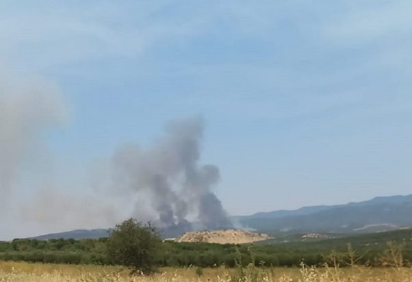 Φωτιά στην Χαλκιδική