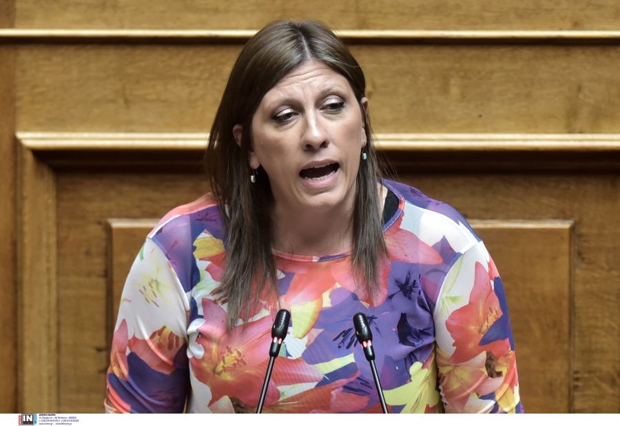 Κωνσταντοπούλου: Δεν είναι από άλλο πλανήτη η απαίτηση να διαφυλαχθούν και τα 70 εκατ. στρέμματα δάσους