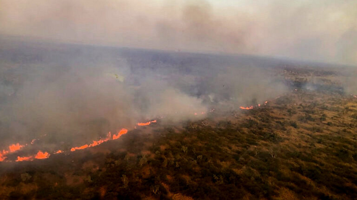 Αυστραλία: Σε εξέλιξη 68 δασικές πυρκαγιές εν μέσω ανοιξιάτικου καύσωνα
