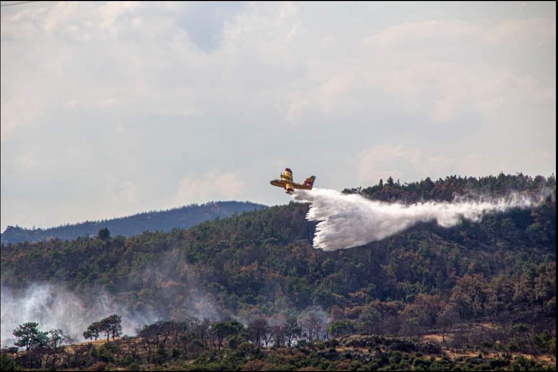 Φωτιά στον Έβρο