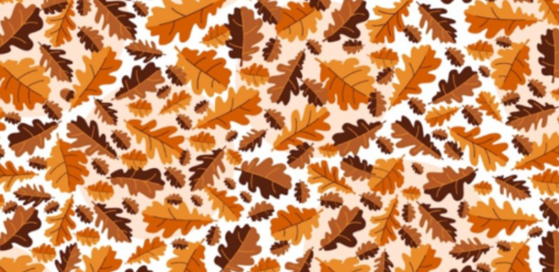 Η οπτική ψευδαίσθηση που πρέπει να λύσετε: Βρείτε το βελανίδι ανάμεσα στα φύλλα