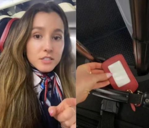 αεροσυνοδός βαλίτσα