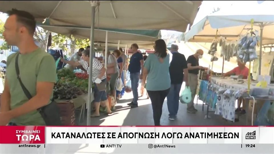 Λάρισα – Σε απόγνωση οι καταναλωτές: Η τιμή στα χόρτα άγγιξε τα 10 ευρώ στη λαϊκή αγορά – ΒΙΝΤΕΟ