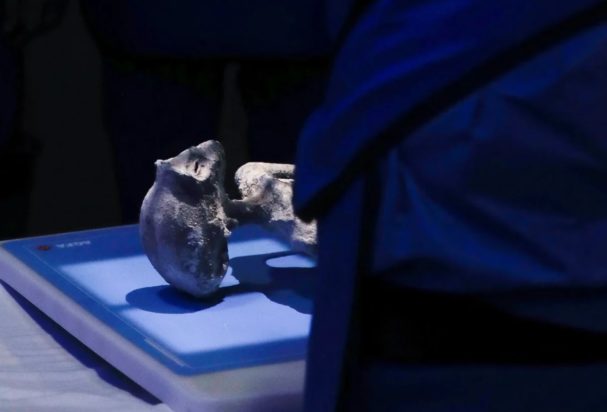 Γιατροί λένε ότι τα «εξωγήινα πτώματα» είναι «βιολογικής προέλευσης»