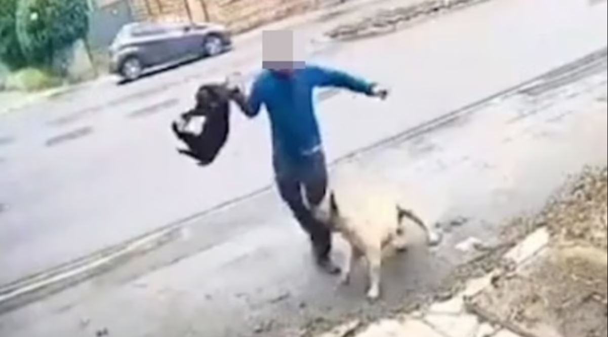 Βίντεο: Η στιγμή που άνδρας δέχεται επίθεση από σκύλους – Πώς τον έσωσε διερχόμενος οδηγός